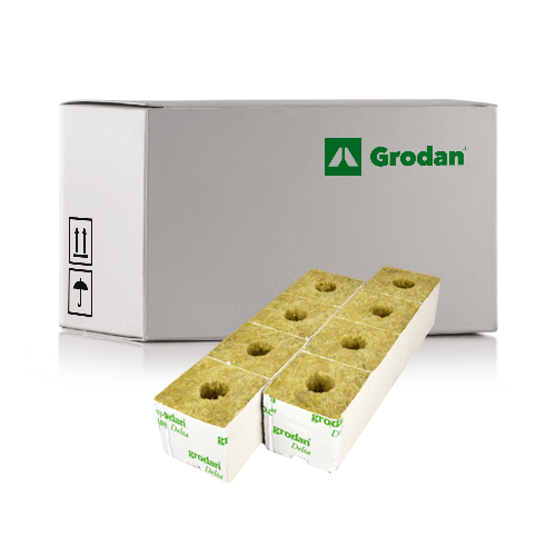 Grodan Big Cubes