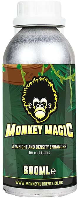 Monkey Magic - 600ML