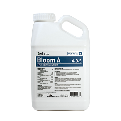 Athena Bloom A - 4L