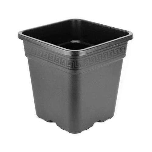 Square Pot
