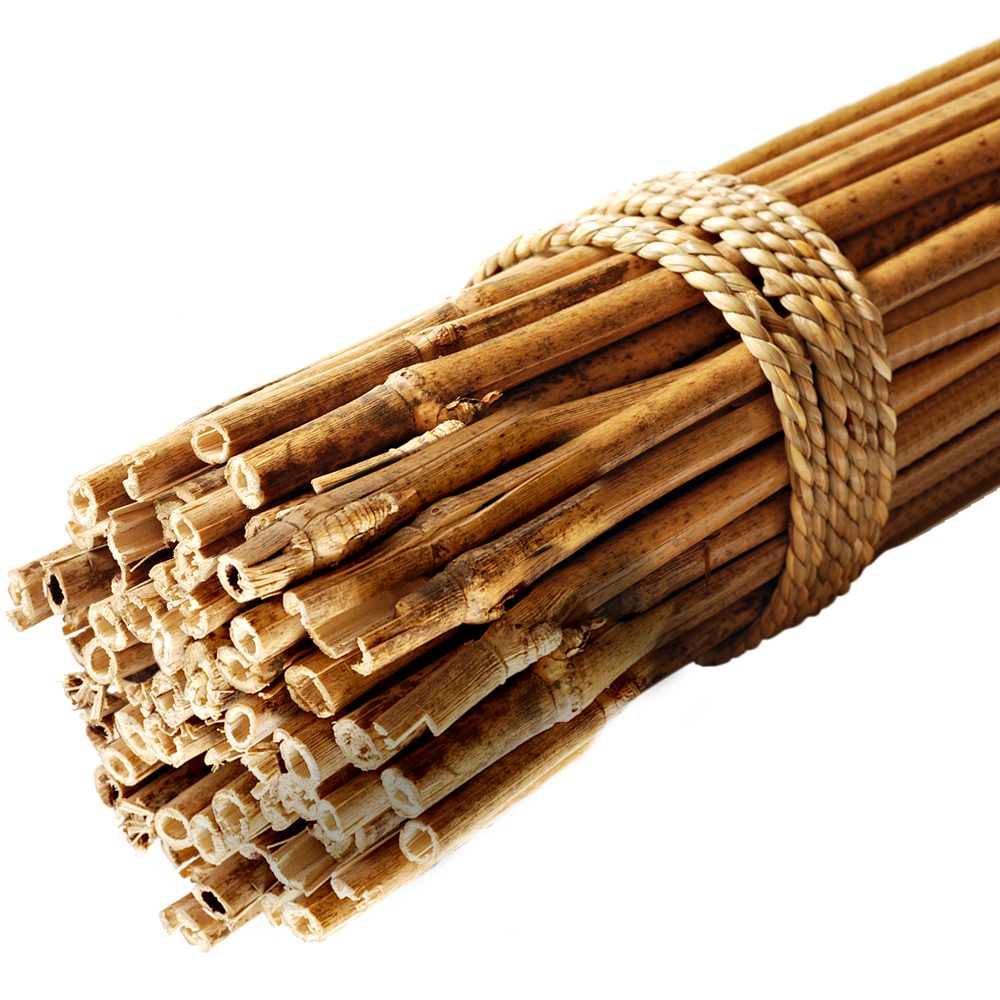 Bamboo 5ft Pack 25