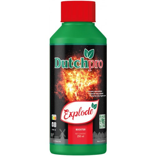 Dutch PRO Explode