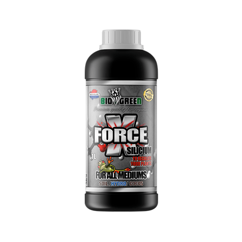 X force - 1L