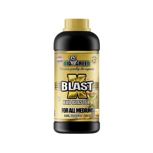 X Blast - 1L