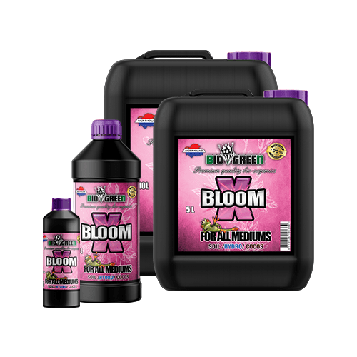 X Bloom 5L - 5L